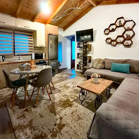 Vasia's Cozy House