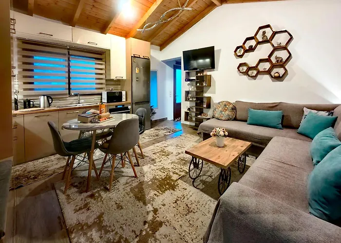 Vasia's Cozy House